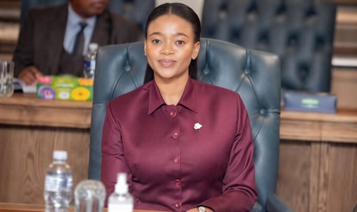 Minister Bogolo Kenewendo, Minister of Minerals, delivered a compelling speech on the natural diamonds policy.