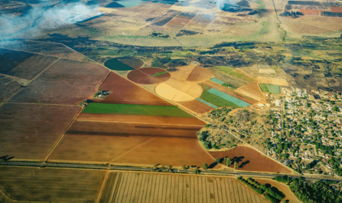 Zimbabwe is expanding horticultural exports to China as zero-tariff access approaches and Chinese buyers step up interest in local produce.