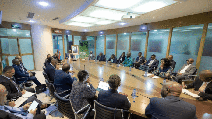 DRC South Africa industrial cooperation meeting highlights regional financing and African-led industrial development