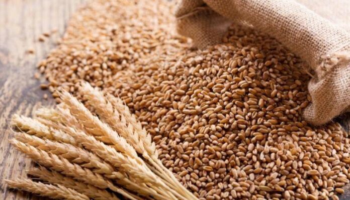 Wheat being loaded at a Black Sea grain port as export disruptions threaten higher food prices across Africa. Wheat being loaded at a Black Sea grain port as export disruptions threaten higher food prices across Africa.