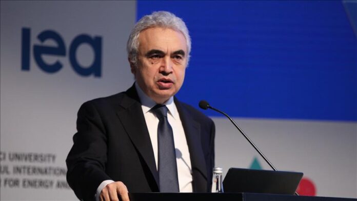 IEA Executive Director Fatih Birol during talks with Nigerian leaders in Abuja as Nigeria seeks to double investment across oil, gas, electricity and renewable energy within five years.